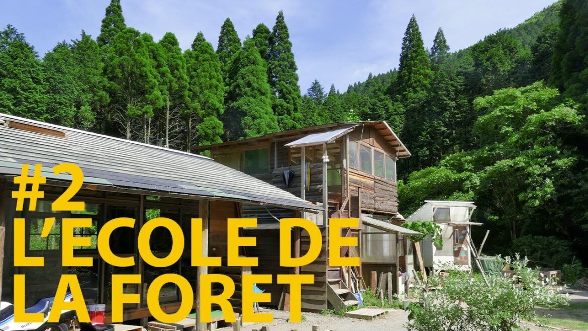 Une école perdue dans la forêt de la campagne Japonaise