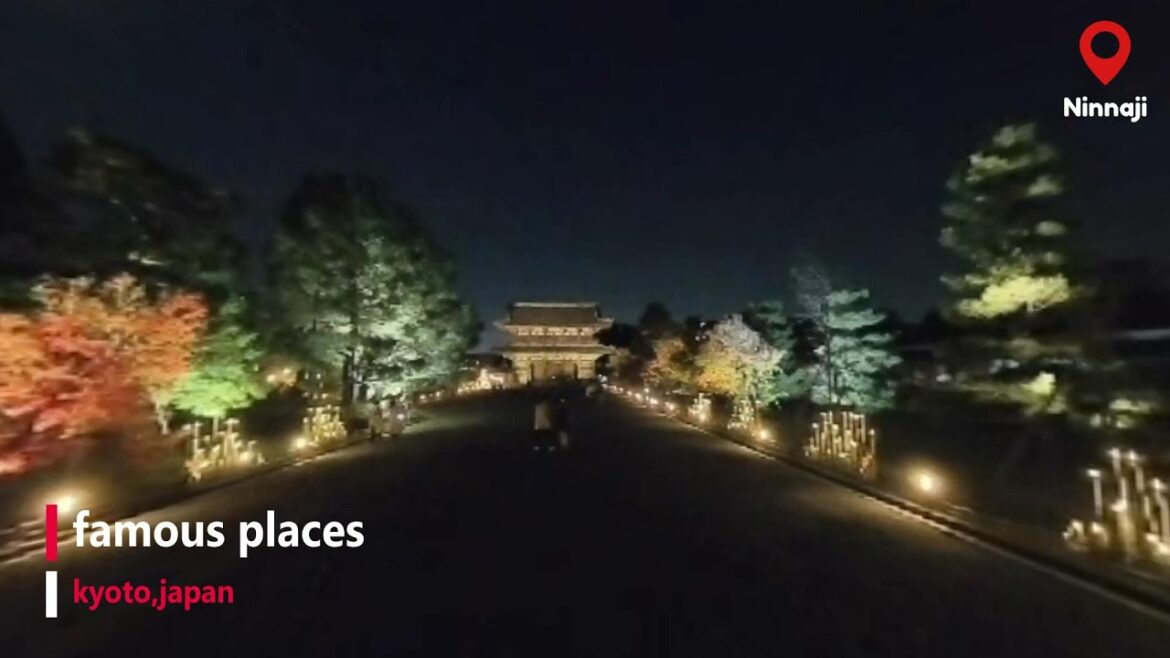 【4K】Guide to famous places in Japan(Ninwaji kyoto,japan)Nighttime Visit 【4K】Guide to famous places in Japan(Ninwaji kyoto,japan)Nighttime Visit