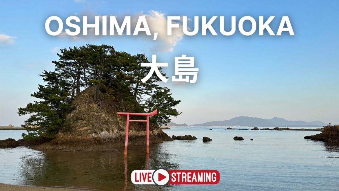 Oshima - World Heritage and Fishing Village in Fukuoka / 大島 (福岡県) - Livestream Japan!
