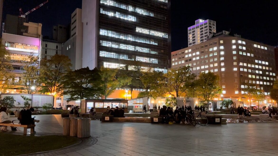 iPhone 14 Pro 4K-HDR Night Video in Sapporo 街中の夜景散策