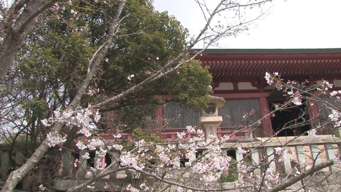 Japan 2013 : Anyo-in  Hyogo prefecture