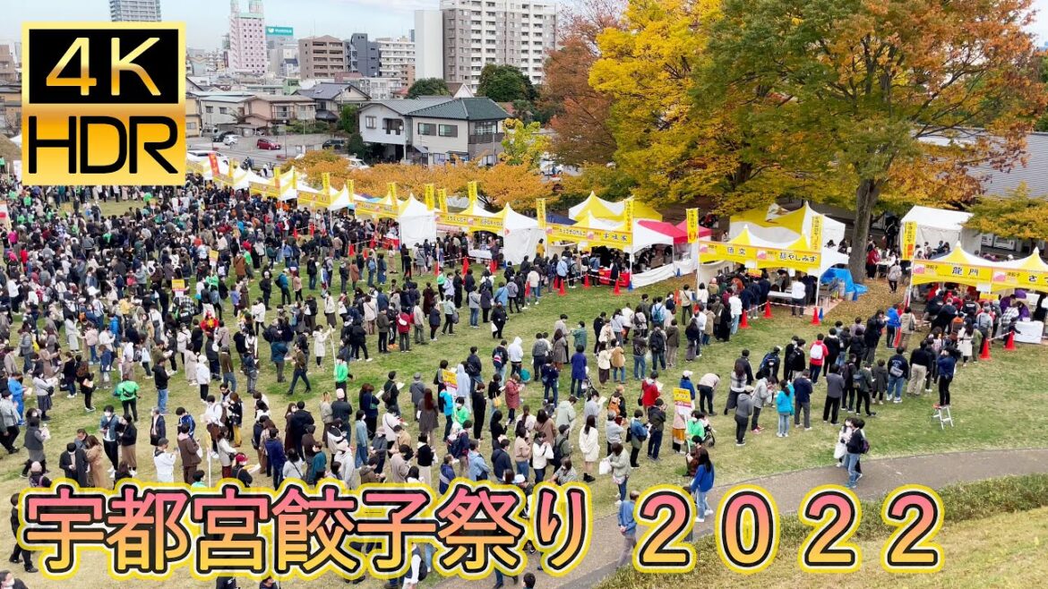 [JapanTravel] 宇都宮餃子祭り 2022 Utsunomiya Gyoza Festival