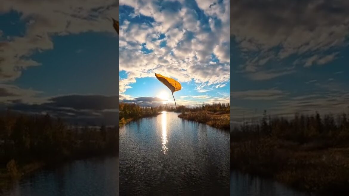 Season Of Autumn 🍁