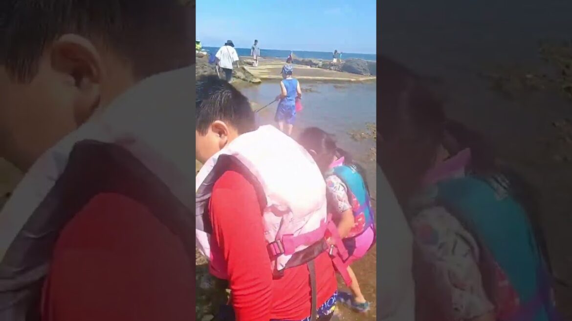 Banjin 🏖 #niigata #trending #respect #asmrsea #shorts