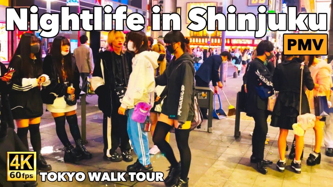 4K JAPAN TRAVEL|Shinjuku Nightlife |Tokyo Walk Tour|トー横,歌舞伎町 (PMV) 4K JAPAN TRAVEL|Shinjuku Nightlife |Tokyo Walk Tour|トー横,歌舞伎町 (PMV)