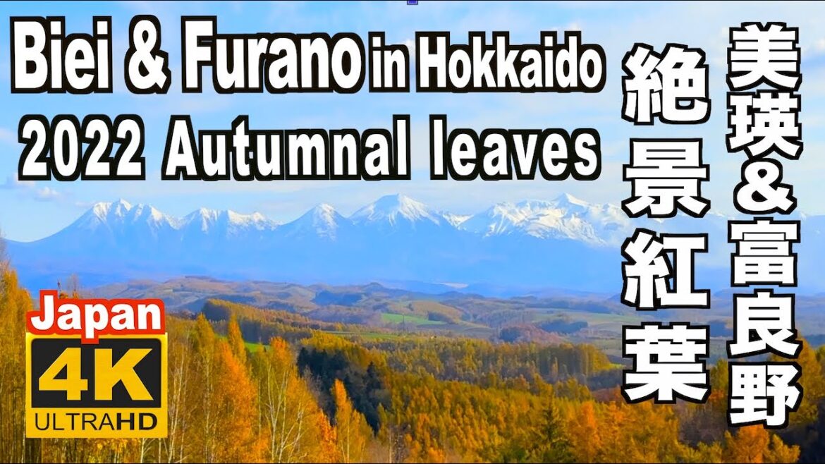 4K 2022 美瑛&富良野の紅葉 Autumn leaves of Biei & Furano Japan 富良野観光 富良野旅行 紅葉の名所 日本の紅葉 紅葉絶景  Hokkaido 4K 2022 美瑛&富良野の紅葉 Autumn leaves of Biei & Furano Japan 富良野観光 富良野旅行 紅葉の名所 日本の紅葉 紅葉絶景  Hokkaido
