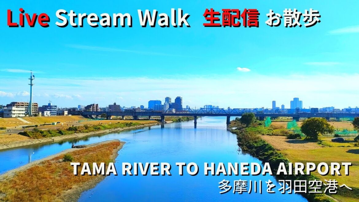 【Live Bicycle / 生配信】Tama river to Haneda airport Tokyo, Japan in Sunday Afternoon / 日曜日午後の東京・多摩川!! 【Live Bicycle / 生配信】Tama river to Haneda airport Tokyo, Japan in Sunday Afternoon / 日曜日午後の東京・多摩川!!