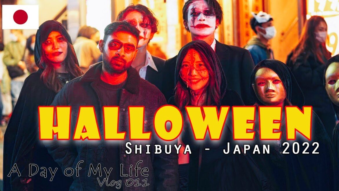 මලවුන්ගේ රාත්රිය 2022 | Ryoko 47 | A Day of my Life 011 මලවුන්ගේ රාත්රිය 2022 | Ryoko 47 | A Day of my Life 011