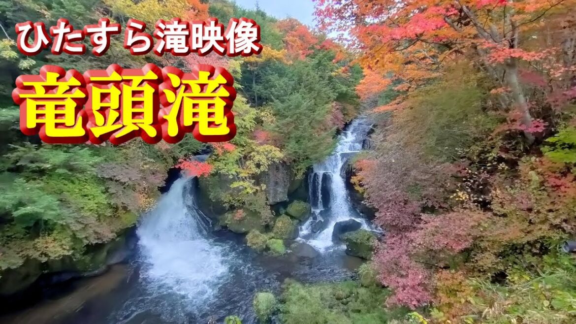 紅葉【竜頭の滝】ひたすら龍頭ノ滝、龍頭之茶屋滝下観爆台からの景色と橋から見た滝上の景色