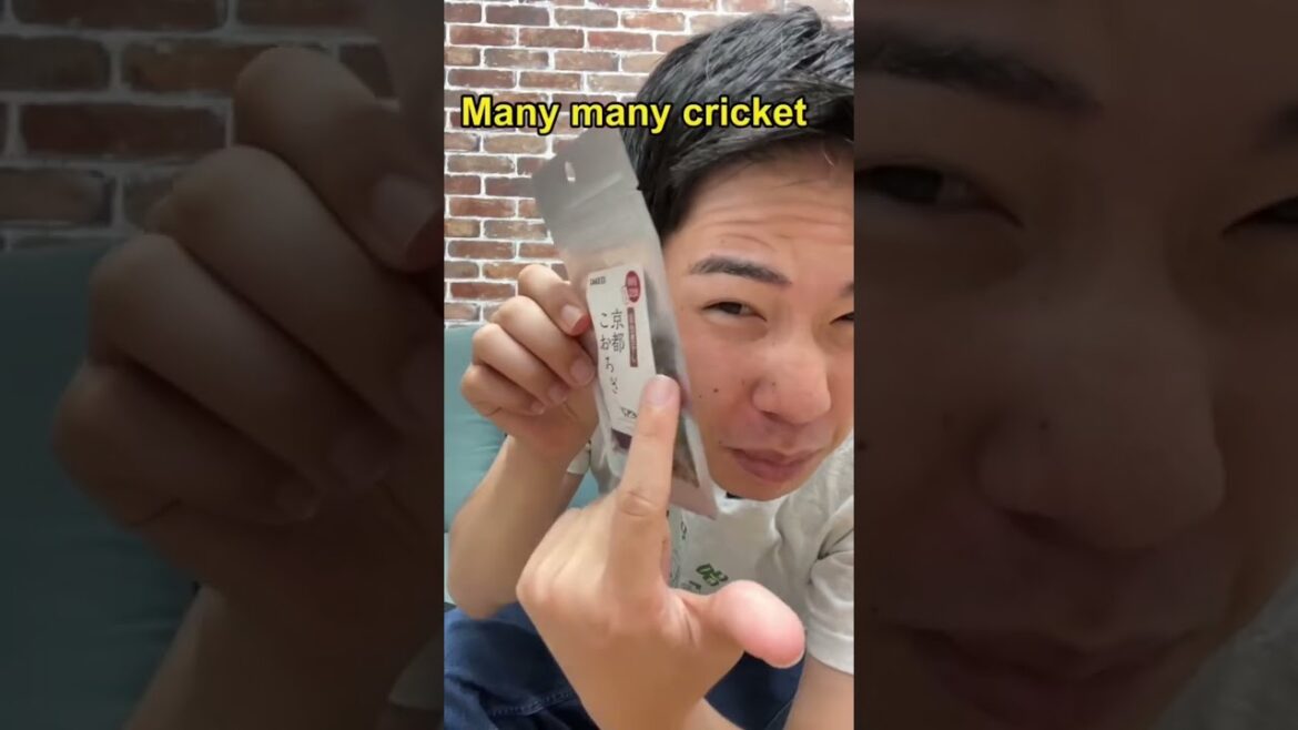 【Vending Machine】Japanese man eats a bug and explain in English