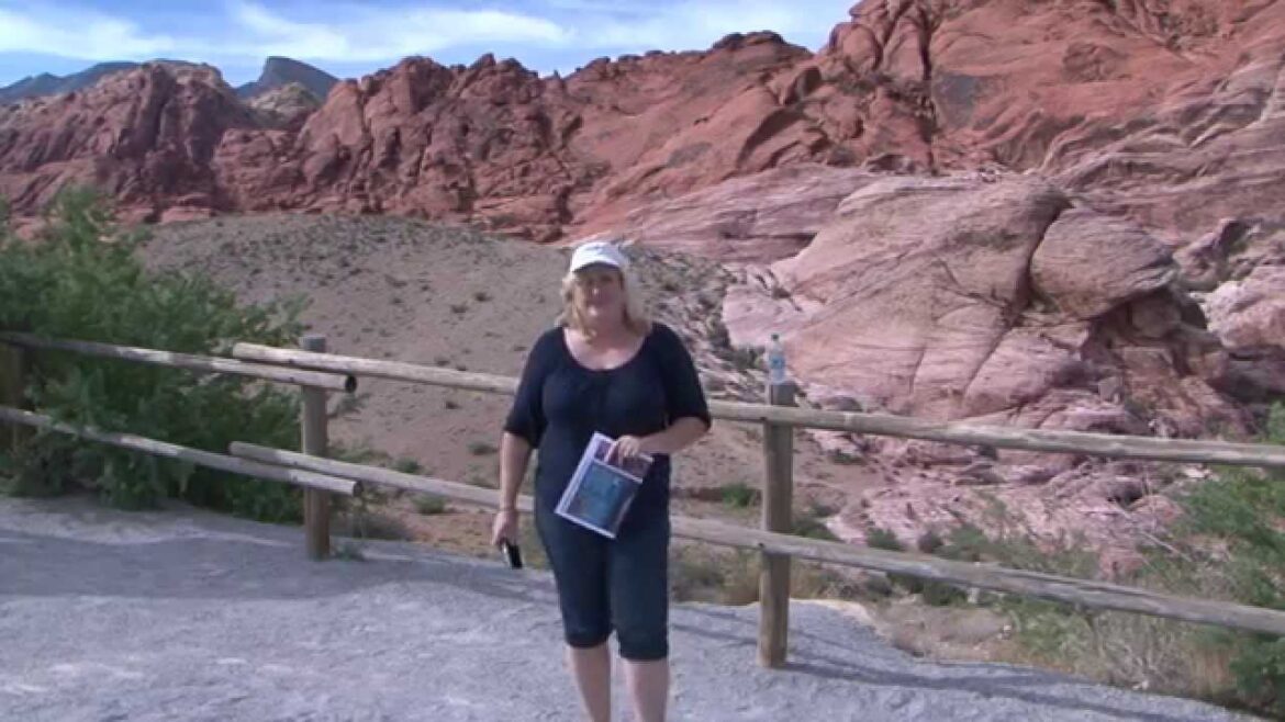 Joy's Travel Adventures - "Vegas Escape"