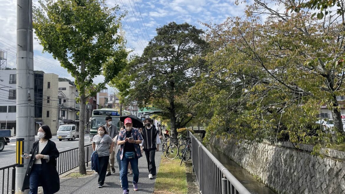 【4K】Kyoto St🇯🇵/Philosophy Road/哲学の道/銀閣寺/京都/散歩 【4K】Kyoto St🇯🇵/Philosophy Road/哲学の道/銀閣寺/京都/散歩