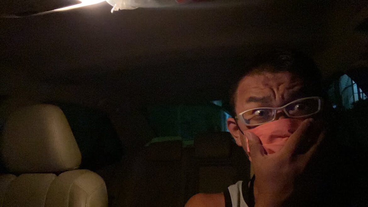 【🇹🇭生LIVE配信】ぷらぷらっと夜バンコク!お腹空きすぎて何食べようか考え中の今からライブ!2022年11月1日 【🇹🇭生LIVE配信】ぷらぷらっと夜バンコク!お腹空きすぎて何食べようか考え中の今からライブ!2022年11月1日