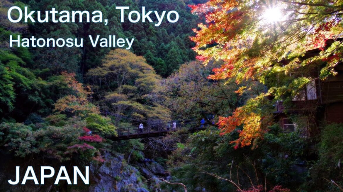 【JAPAN TRAVEL：TOKYO, OKUTAMA area】Walking along Hatonosu Gorge　Amazing beautiful nature & landscape