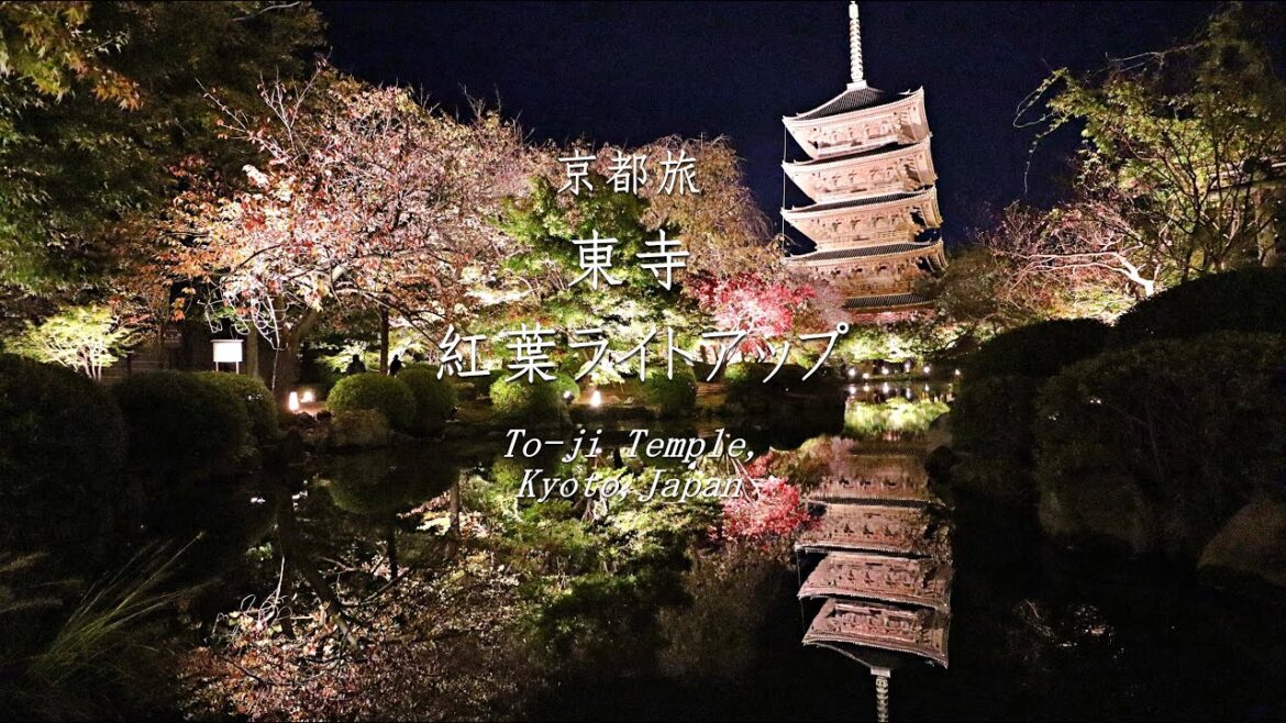 【京都旅】東寺、紅葉ライトアップ – Night Special Opening Illumination of Fall Foliage, To-ji Temple, Kyoto, Japan – 【京都旅】東寺、紅葉ライトアップ - Night Special Opening Illumination of Fall Foliage, To-ji Temple, Kyoto, Japan -