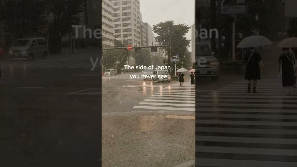 Does it rain a lot in Tokyo? Does it rain a lot in Tokyo?