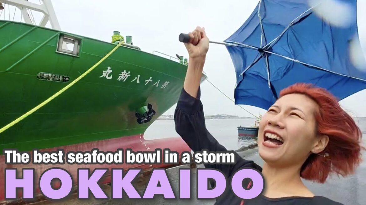 Travel to Hokkaido #3☆ I found the best seafood bowl in Japan during a storm!! Japan vlog Travel to Hokkaido #3☆ I found the best seafood bowl in Japan during a storm!! Japan vlog