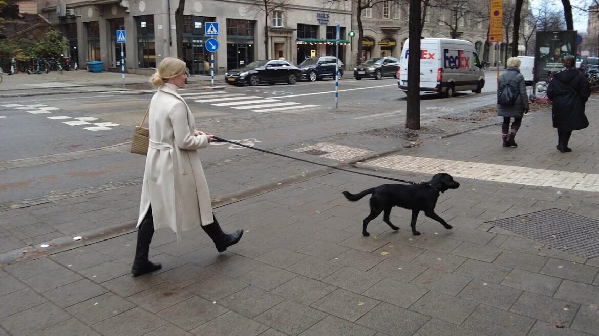 Exploring the different districts of central Stockholm | Sweden 4K60fps #517 Exploring the different districts of central Stockholm | Sweden 4K60fps #517