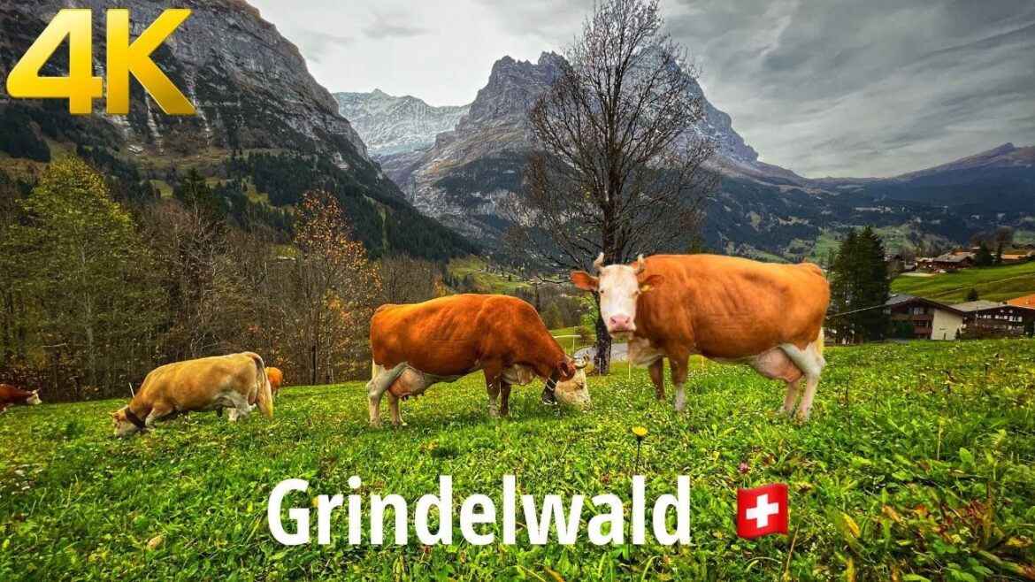 Grindelwald Switzerland Walking Tour 4K 60fps – Heavenly beautiful Swiss village Grindelwald Switzerland Walking Tour 4K 60fps - Heavenly beautiful Swiss village
