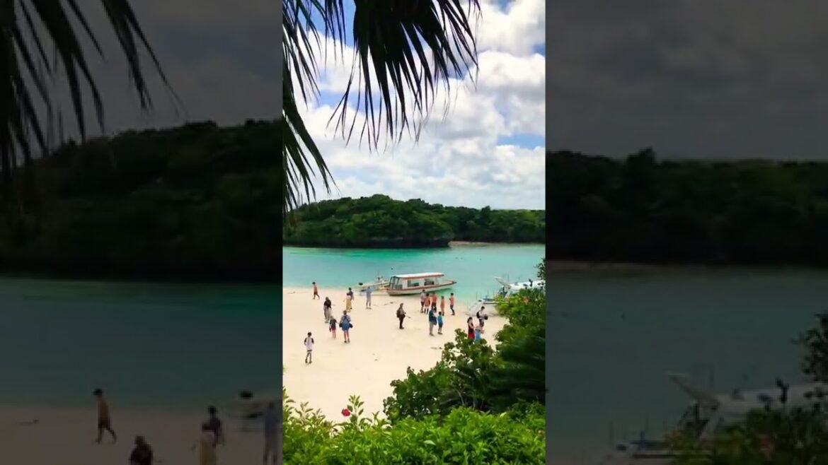 【石垣島】Okinawa 🌺美しい場所・別世界　【Another world】#japan #travel#short #shorts《2019》