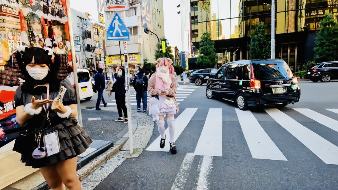 [Akihabara Walk in Tokyo] Paradise Town 4K ASMR Nonstop 1 hour 2 minutes