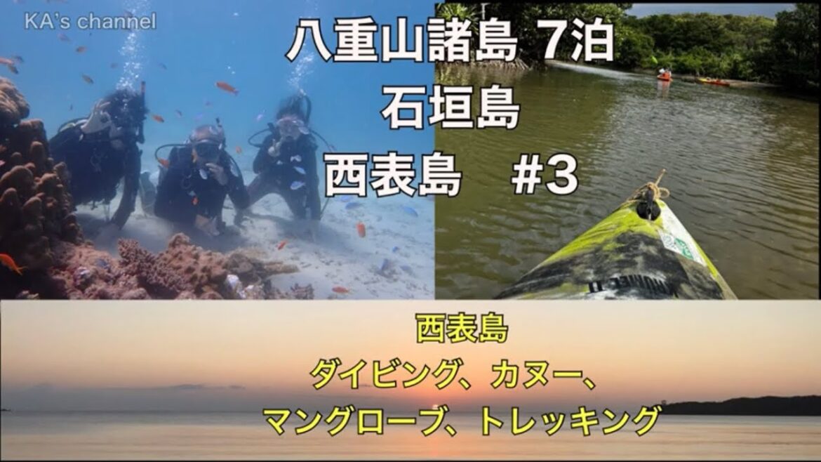 八重山諸島　7泊 #3 西表島ダイビング、カヌー、マングローブ、トレッキング