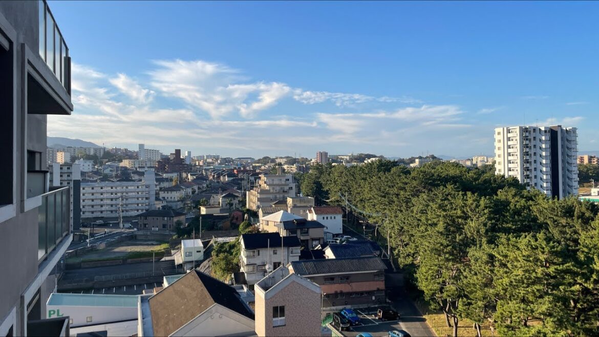 LIVE Camera in JAPAN!!!