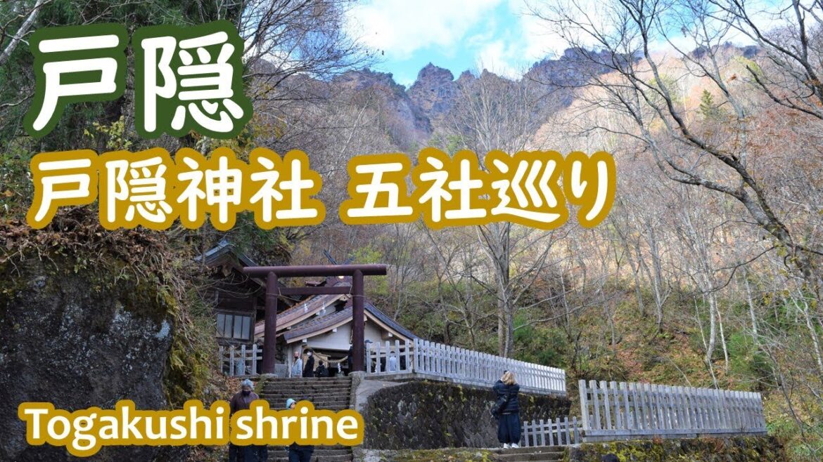 長野県 戸隠神社の五社を巡り、戸隠そばを食べ、鏡池を散策した大人の休日 Togakushi|人生の楽園・長野移住ライフ|田舎暮らし vlog 088 長野県 戸隠神社の五社を巡り、戸隠そばを食べ、鏡池を散策した大人の休日 Togakushi|人生の楽園・長野移住ライフ|田舎暮らし vlog 088