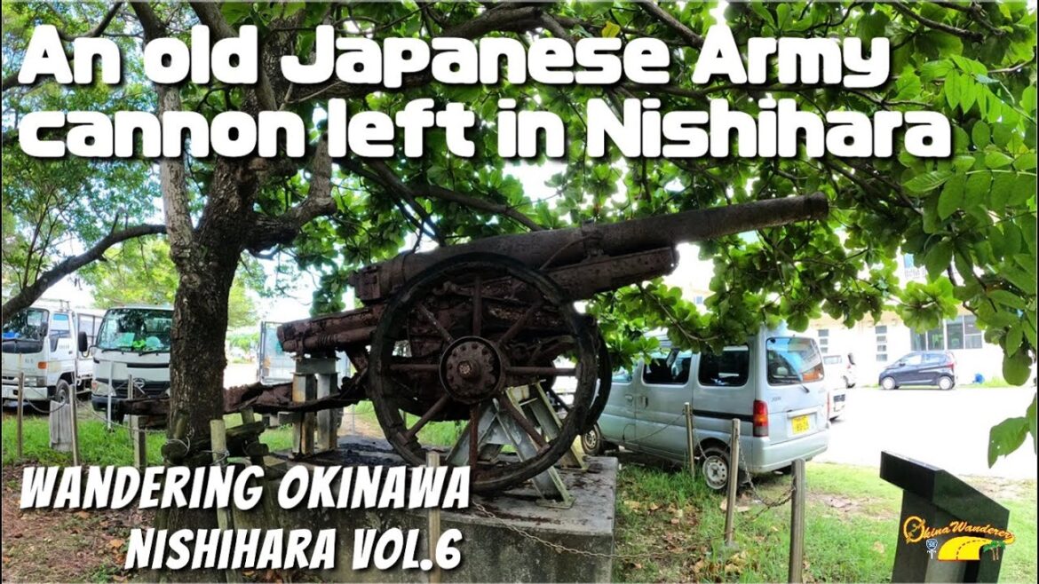 Found an old Japanese Army Cannon in Nishihara