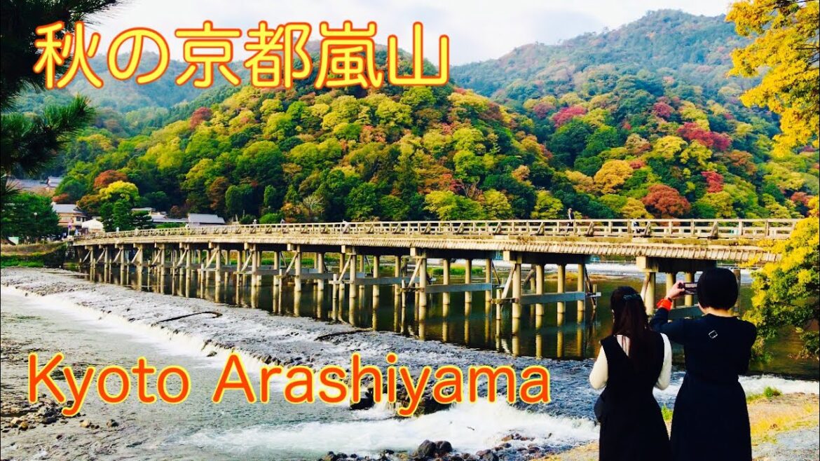 秋の京都嵐山🍁 Kyoto Arashiyama in autumn  2022年11月5日(土)