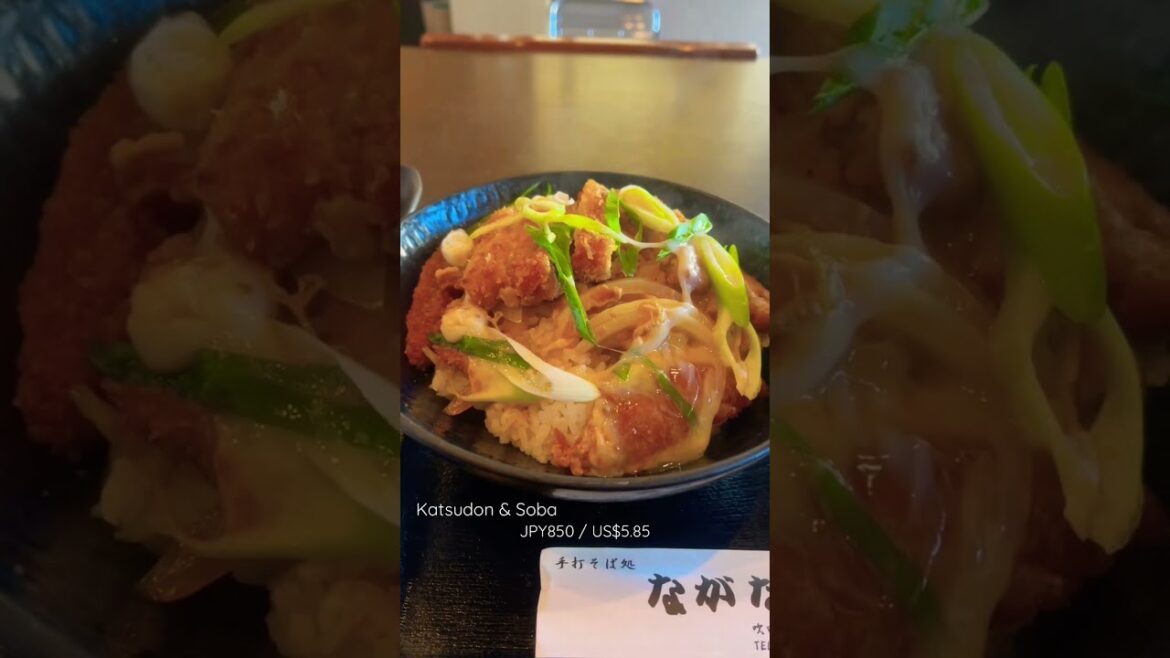 Japanese Soba restaurant in Osaka | Katsudon (pork cutlet rice bowl) and Soba noodles