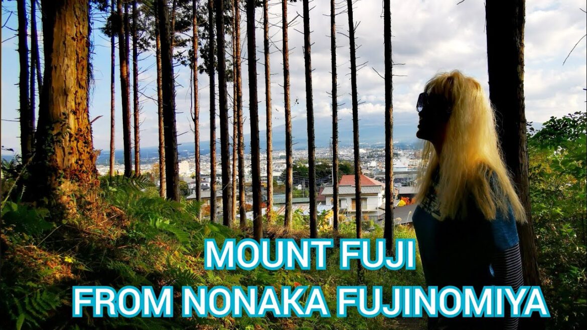 MOUNT FUJI from FUJINOMIYA CITY Nonaka Hill Forest Walk by ADEYTO