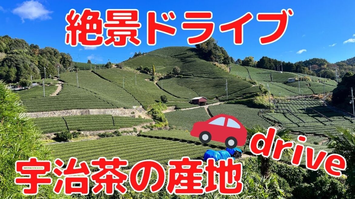 Wazuka Town tea plantation in Kyoto 🚗 | 和束町の茶畑 | 石寺の茶畑