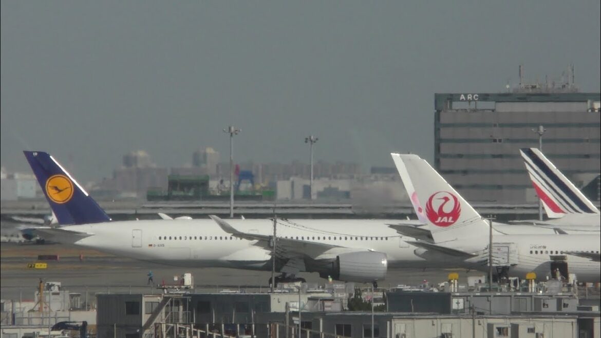 🔴 Tokyo Haneda Airport Live Stream with ATC 羽田空港