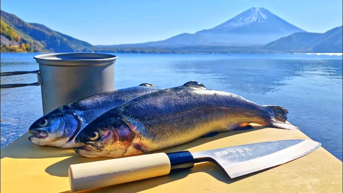 SOLO CAMP,catch and eat GIANT TROUT on THE HIGHEST MOUNTAIN in Japan,│Tokyo-Yamanashi travel SOLO CAMP,catch and eat GIANT TROUT on THE HIGHEST MOUNTAIN in Japan,│Tokyo-Yamanashi travel