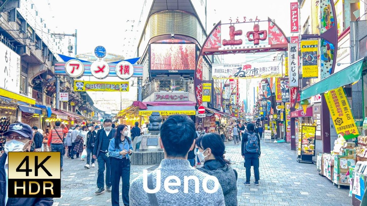 Ueno in Tokyo is famous for shopping 💖🐶4K ASMR non-stop