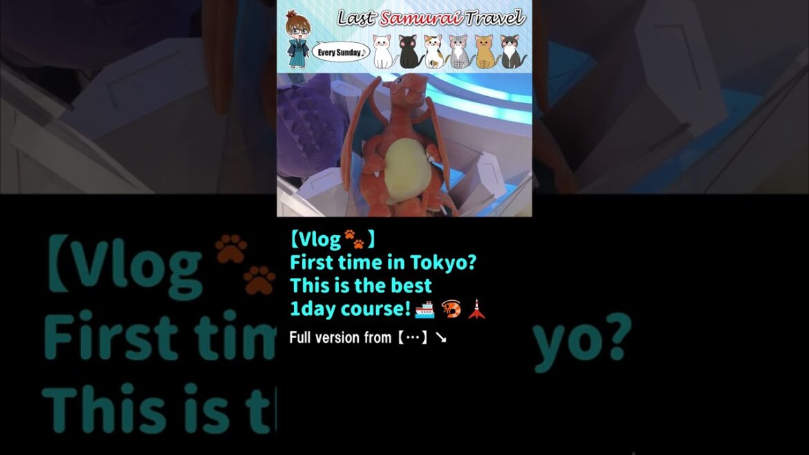 【Vlog🐾】Tokyo's really best 1-day sightseeing course😆🚢🗼#short