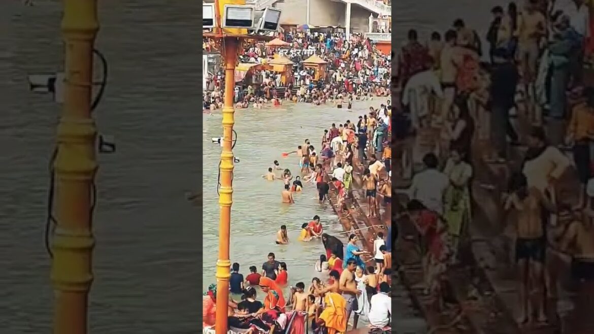ganga snan 2022 | har har gange #shorts