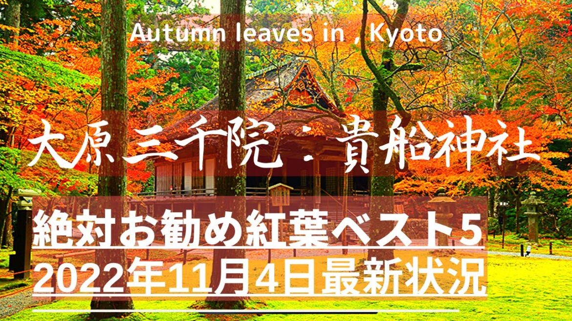 『京都紅葉』大原三千院：貴船神社：京都紅葉名所お勧めBEST5（autumn leaves kyoto）