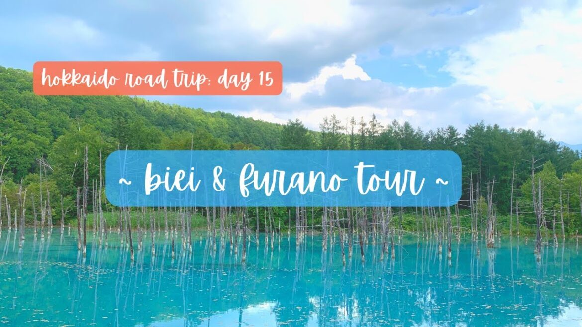 biei and furano tour in hokkaido ~