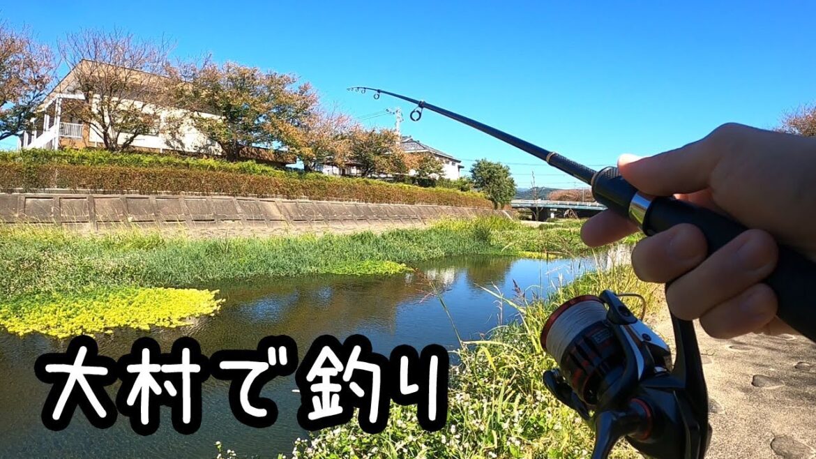 大村の川で魚釣り【長崎】