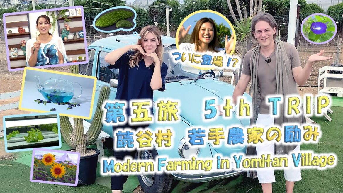 第五旅 「🌻読谷村 若手農家の励み🍃」(座喜味城跡、サンセットファーム、観光農園、玉城ファーム、水耕栽培)【🇯🇵字幕👂】 第五旅 「🌻読谷村 若手農家の励み🍃」(座喜味城跡、サンセットファーム、観光農園、玉城ファーム、水耕栽培)【🇯🇵字幕👂】