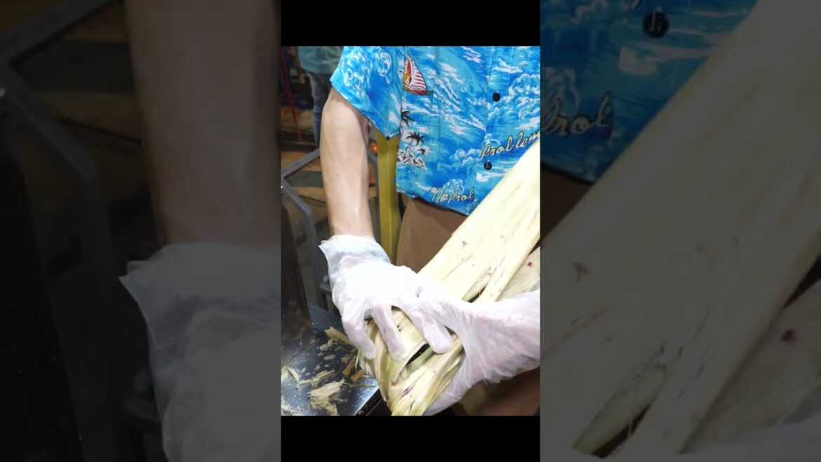 속 시원한 착즙? 사탕수수를 통째로! 신선한 사탕수수 주스 만들기 / #shorts / Fresh sugarcane juice / Vietnamese street food 속 시원한 착즙? 사탕수수를 통째로! 신선한 사탕수수 주스 만들기 / #shorts / Fresh sugarcane juice / Vietnamese street food