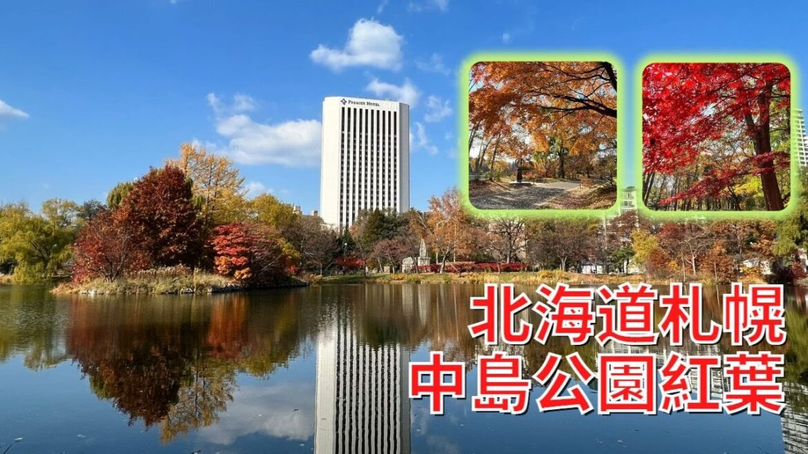北海道 | 日本紅葉 2022｜北海道中島公園｜秋季限定｜超靚
