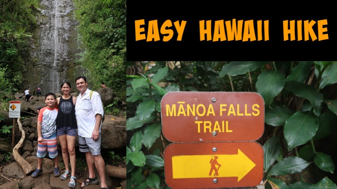 Manoa Falls Trail Hike / Oahu, Hawaii