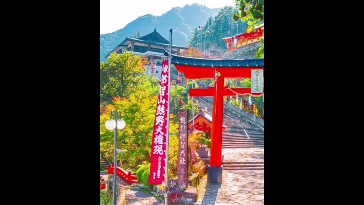 The Most Beautiful Places In Japan Just Got More Beautiful #shorts