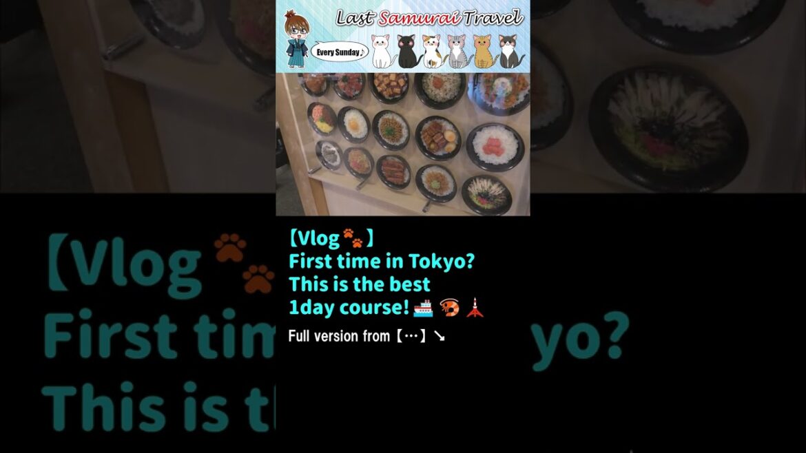 【Vlog🐾】Tokyo's really best 1-day sightseeing course😆🚢🗼#short 【Vlog🐾】Tokyo's really best 1-day sightseeing course😆🚢🗼#short