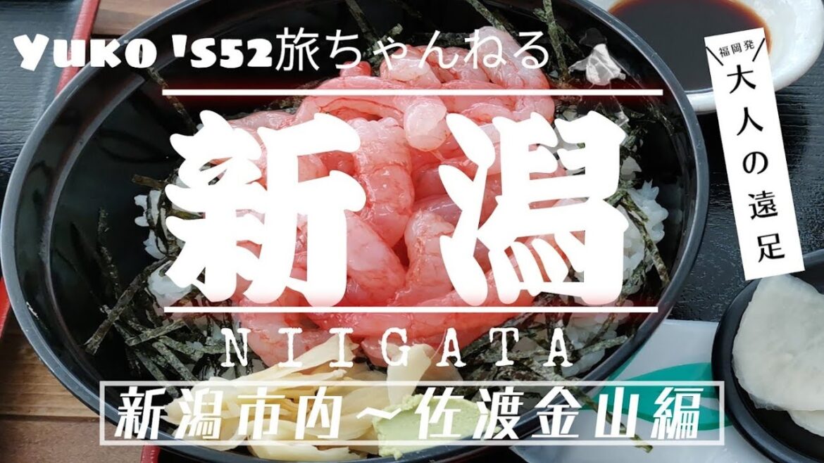 【大人の遠足30】 Niigata.💛初夏の新潟💛The best rice and sake town in Japan.💛 【大人の遠足30】 Niigata.💛初夏の新潟💛The best rice and sake town in Japan.💛