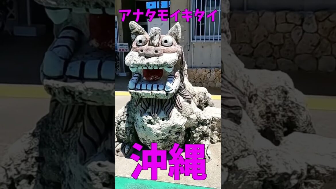 #shorts 二泊三日の沖縄旅行🌺🌺🌺