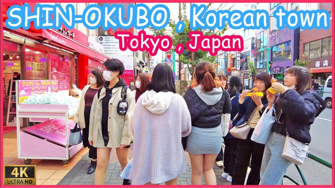 walk in Shin-okubo , tokyo Japan walk in Shin-okubo , tokyo Japan